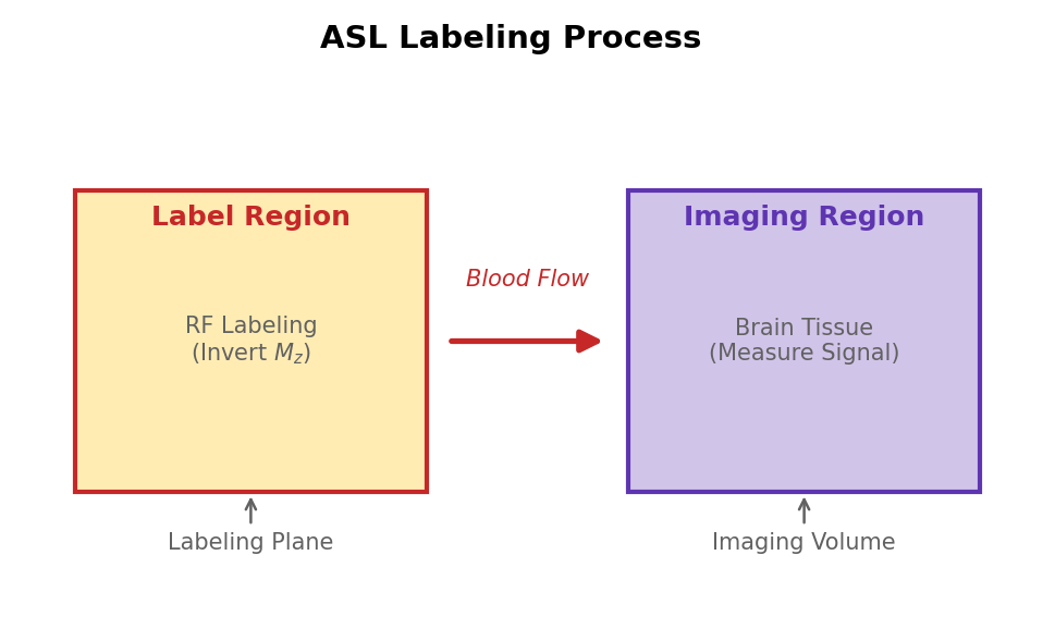 ASL labeling process: RF labeling inverts blood magnetization before it flows into the imaging region.