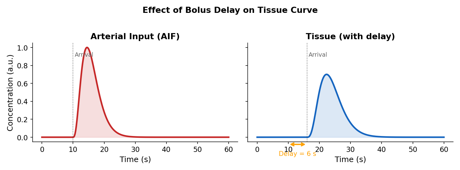 Side-by-side comparison of AIF and delayed tissue concentration curves.